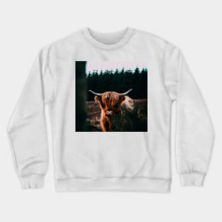 Scottish Highland Cow Cattle Oil Painting Crewneck Sweatshirt